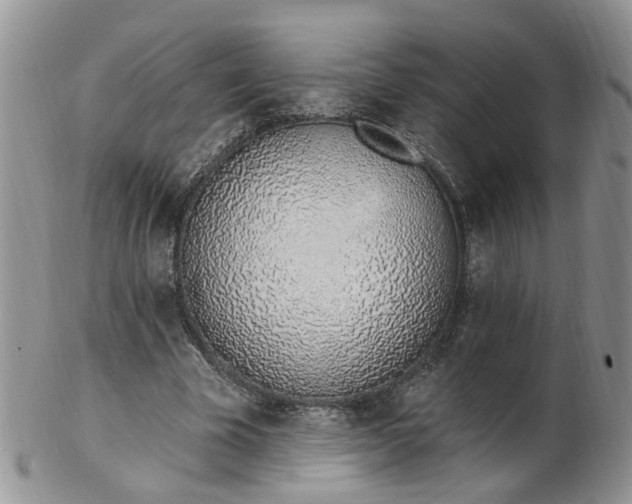 X0000103170585200809051724