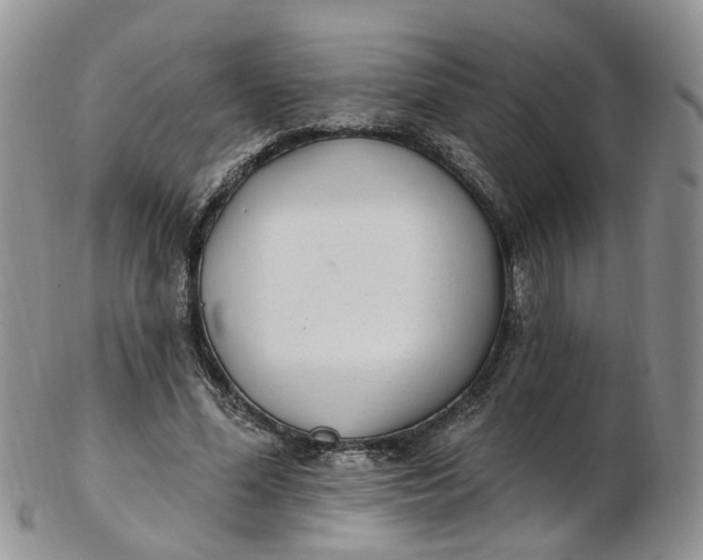 X0000103170588200809051724