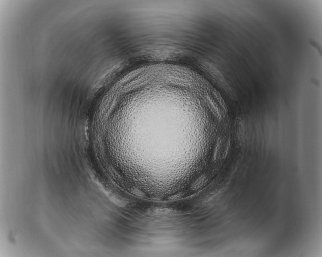 X0000103170590200809051723