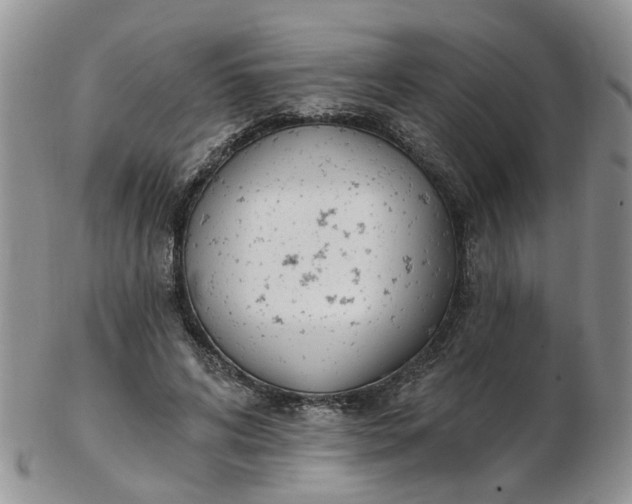 X0000103170592200809051723