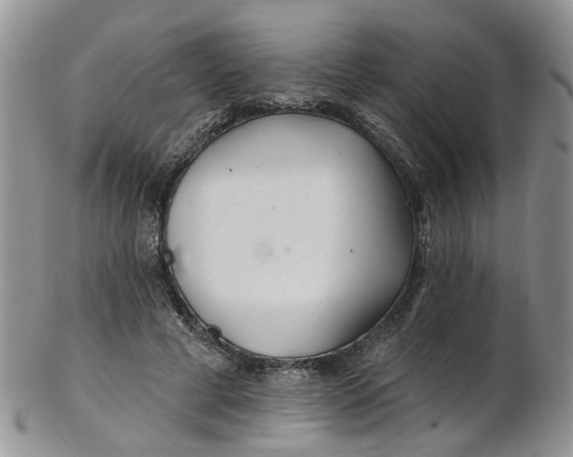 X0000103170593200809051723