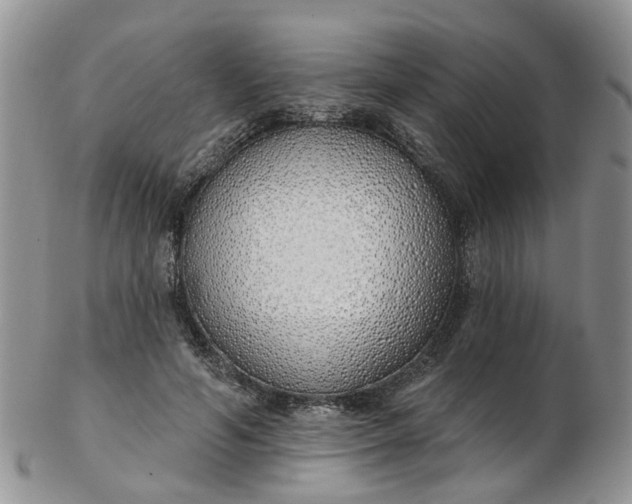 X0000103170594200809051723