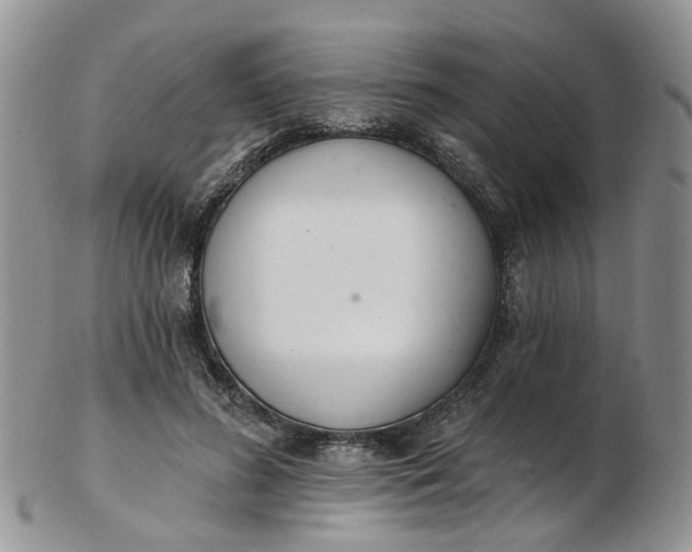 X0000103170596200809051723