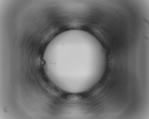 X0000103170597200809051723