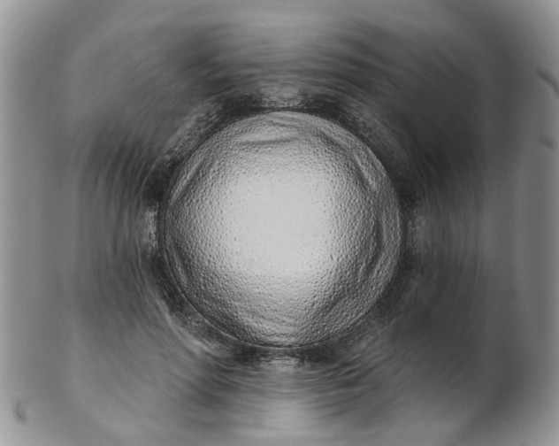 X0000103170598200809051723