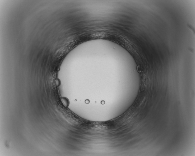 X0000103170601200809051723