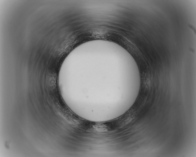 X0000103170603200809051723