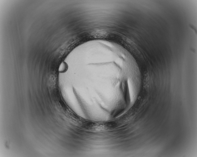 X0000103170604200809051723