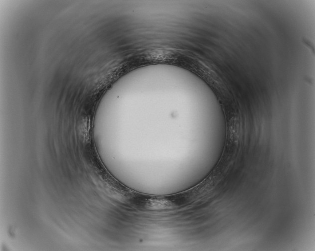 X0000103170605200809051723