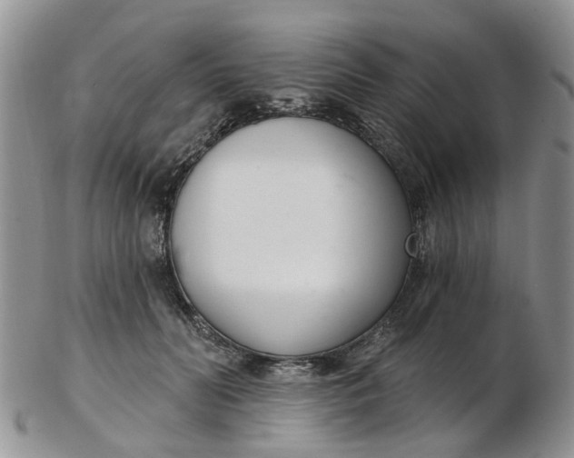 X0000103170606200809051723