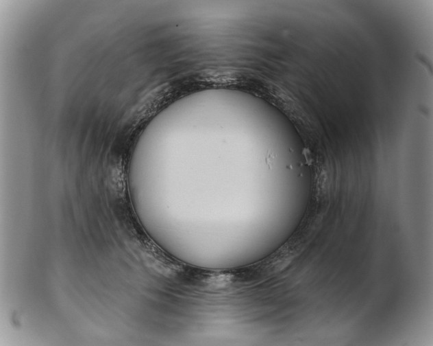 X0000103170609200809051723