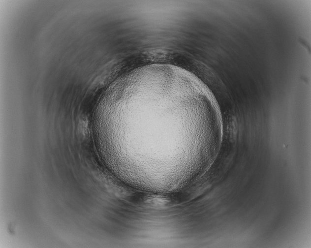 X0000103170610200809051723