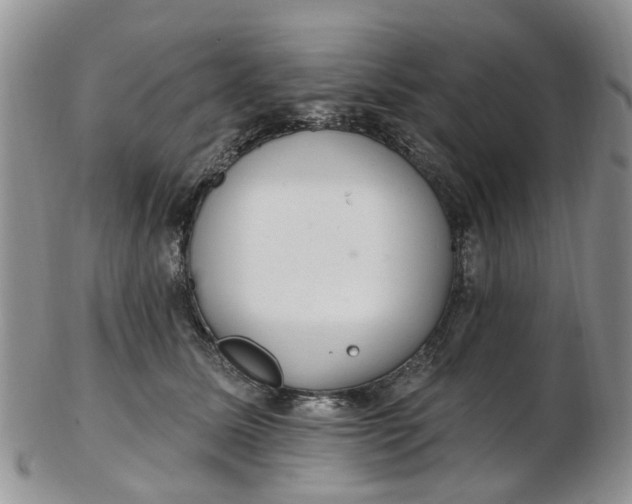 X0000103170611200809051723