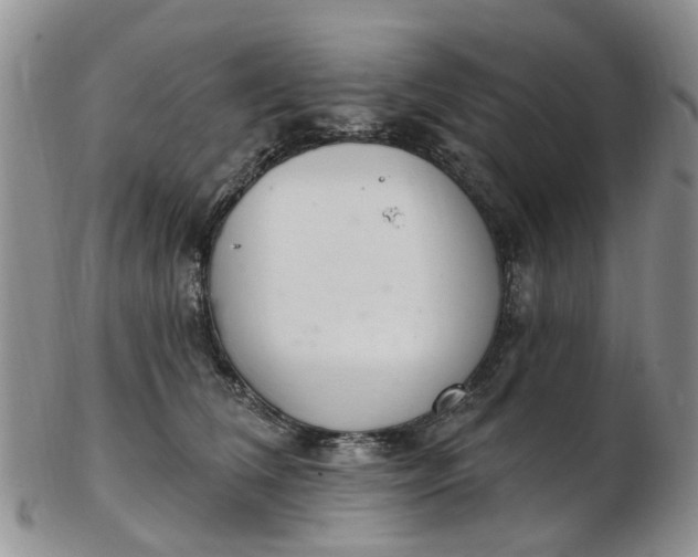 X0000103170612200809051723