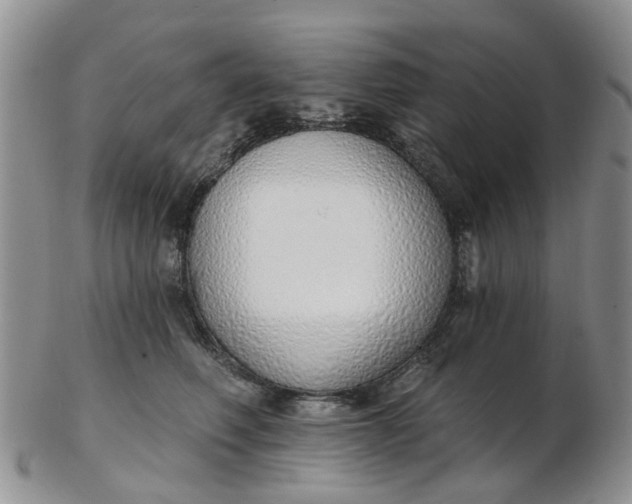 X0000103170614200809051723