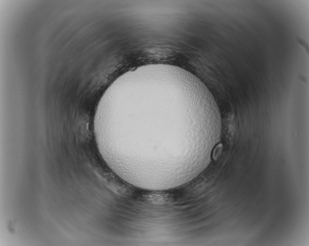 X0000103170615200809051723