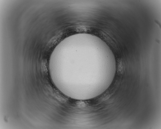 X0000103170616200809051723