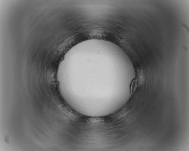 X0000103170619200809051723