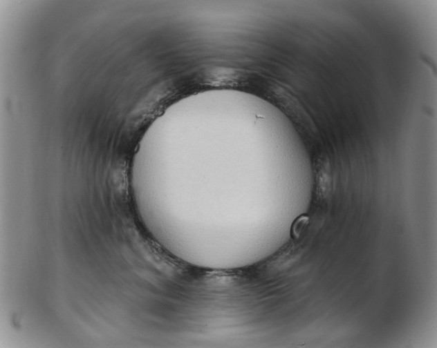 X0000103170620200809051723