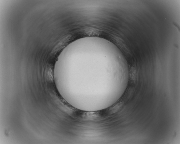 X0000103170622200809051723