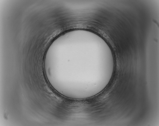 X0000103170625200809051722