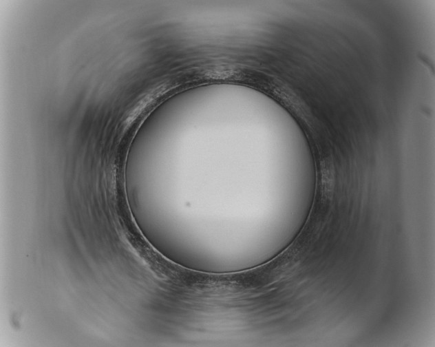 X0000103170626200809051722