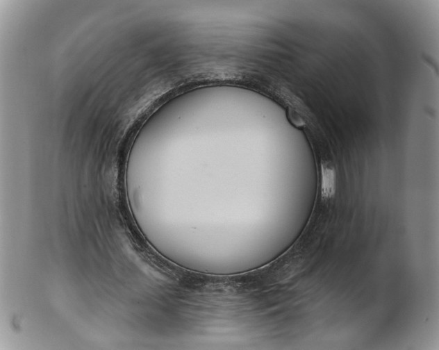 X0000103170627200809051722