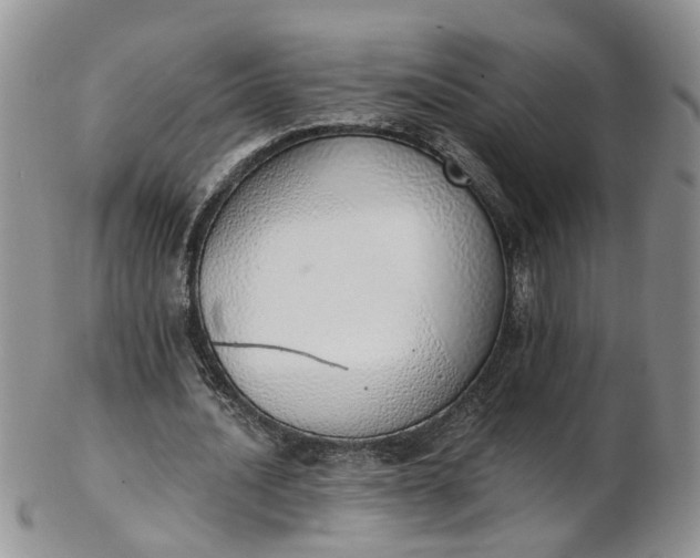 X0000103170628200809051722