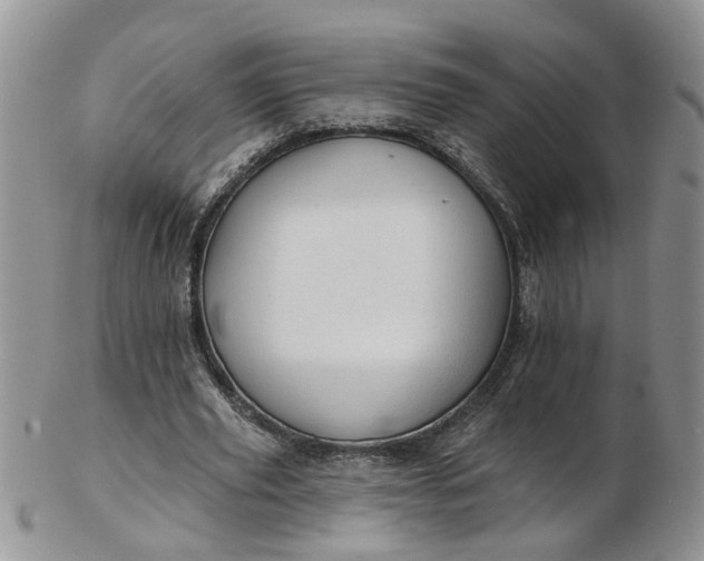 X0000103170629200809051722