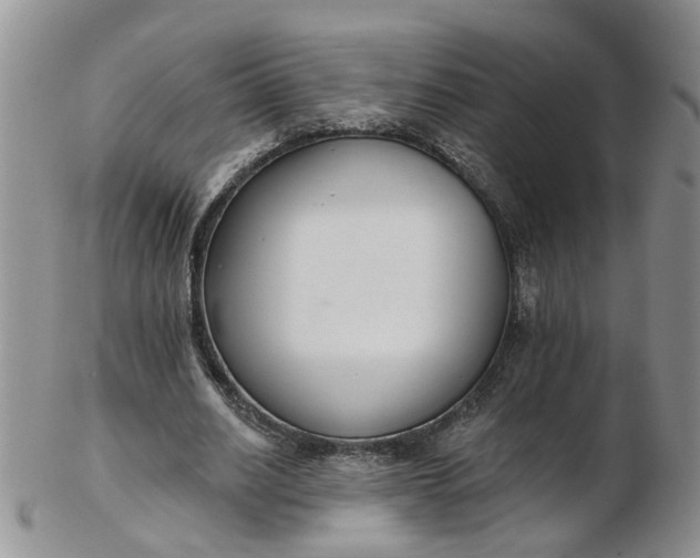 X0000103170630200809051722