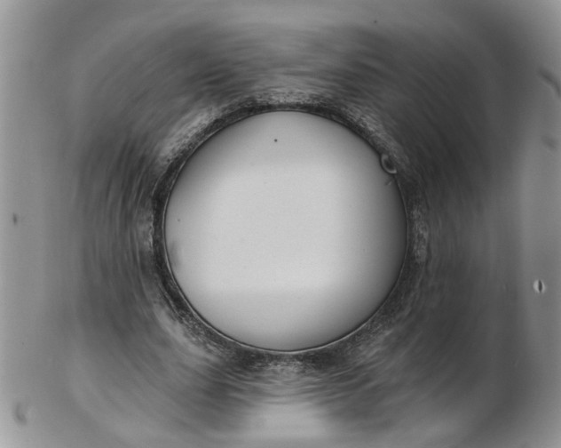 X0000103170631200809051722