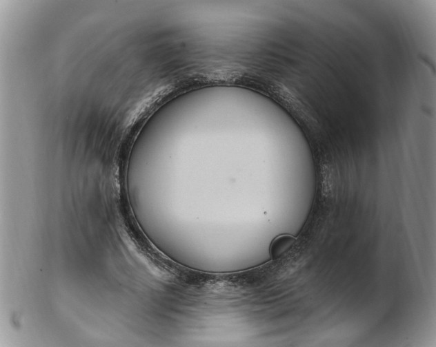 X0000103170634200809051722