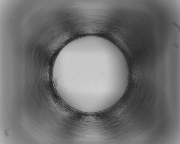 X0000103170635200809051722