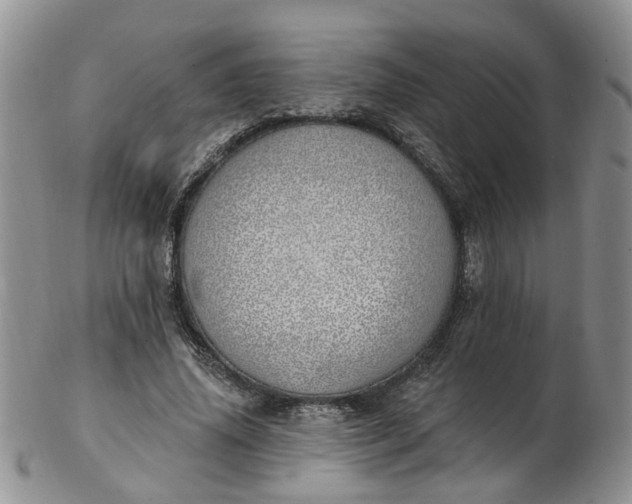 X0000103170636200809051722