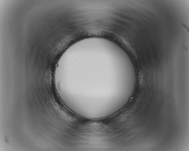 X0000103170637200809051722