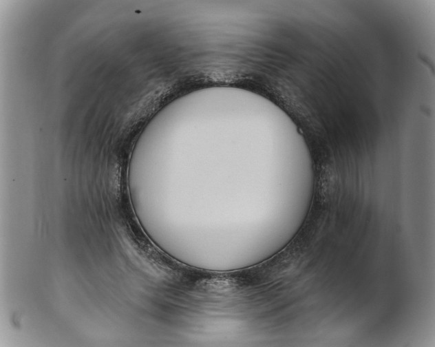 X0000103170639200809051722