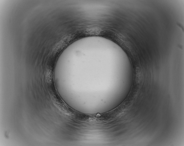 X0000103170641200809051723