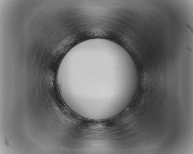 X0000103170643200809051723