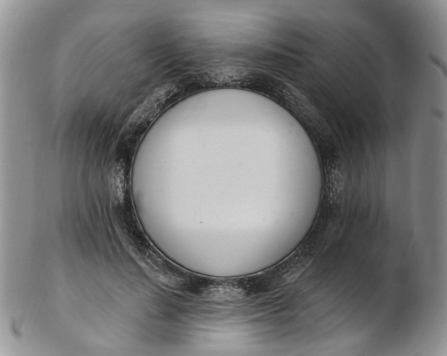 X0000103170644200809051723