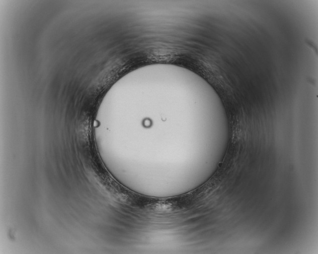 X0000103170647200809051723