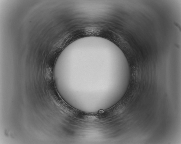 X0000103170649200809051723