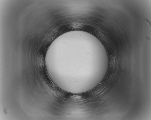 X0000103170651200809051723