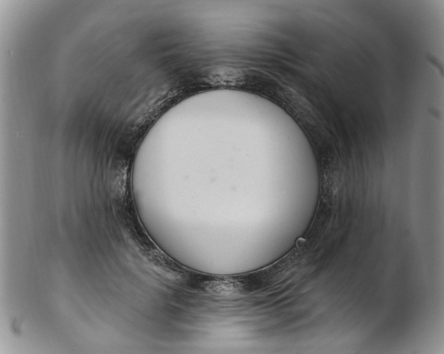 X0000103170652200809051723