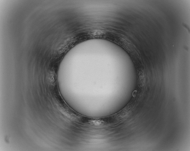 X0000103170654200809051723