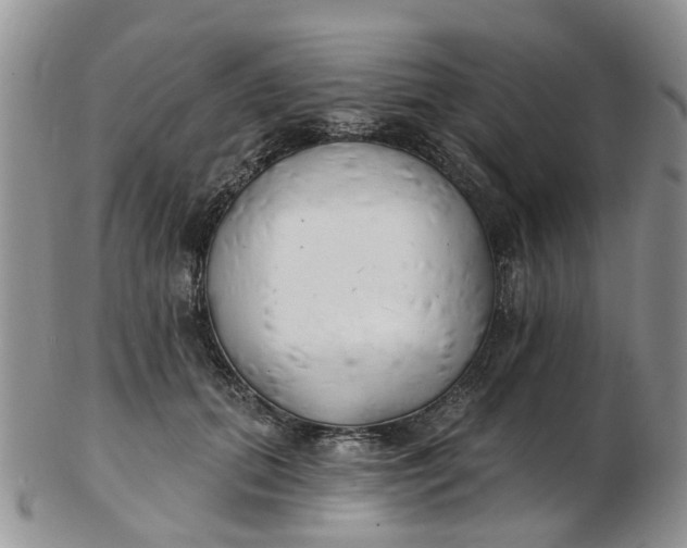 X0000103170655200809051723