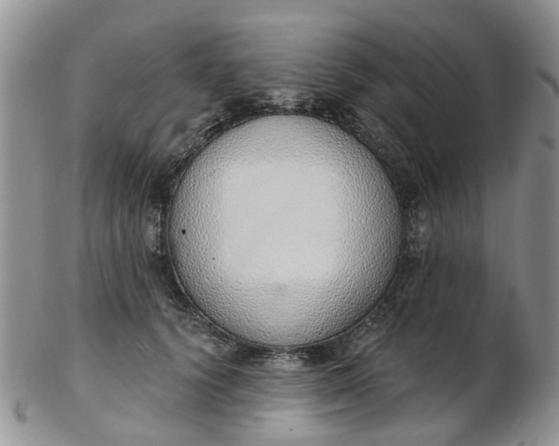 X0000103170656200809051723