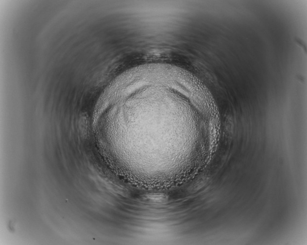 X0000103170659200809051723