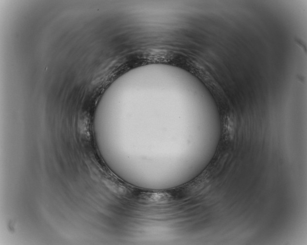 X0000103170663200809051723