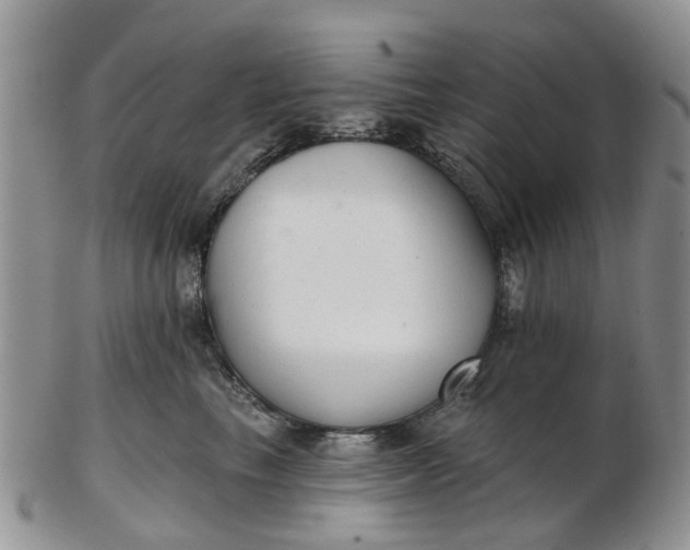 X0000103170665200809051723