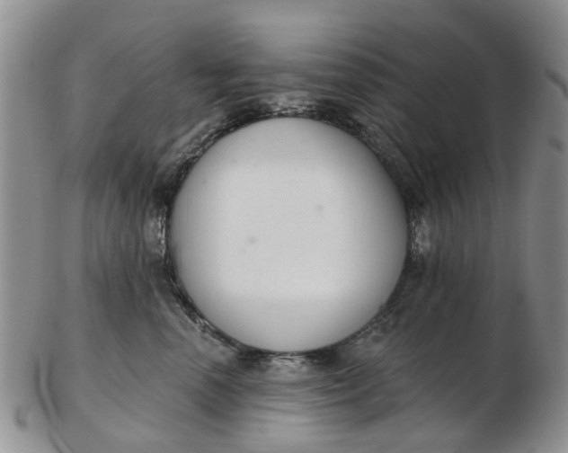 X0000103170666200809051723